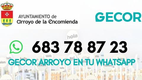 Teléfono de Gecor Arroyo.