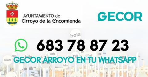 Teléfono de Gecor Arroyo.