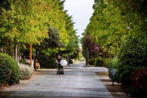 Arroyo alcanza ya los 22.624 habitantes