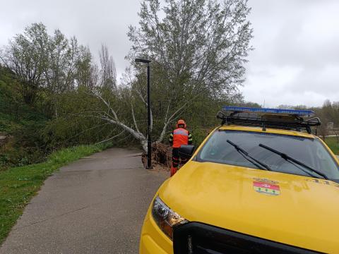 Protección Civil Arroyo busca voluntarios